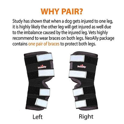 Pair of left and right black hock braces with reflective silver strap panels