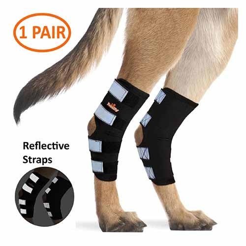 Pair of black dog rear leg hock braces with reflective silver strap panels