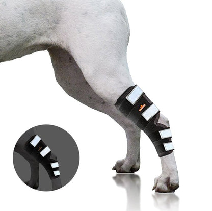 Dog hock and ankle brace close-up on black strap with reflective panels