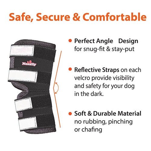 Black adjustable dog hock brace with reflective straps and padded support