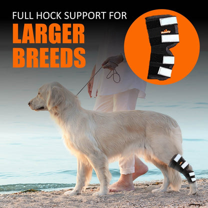 Side view dog wearing black rear leg hock brace with reflective strap panels