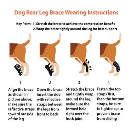 Black rear leg hock brace with adjustable wrap straps and reflective tabs