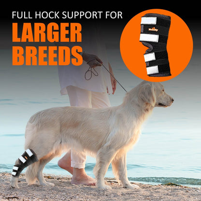 Dog wearing black rear leg hock brace with reflective strap panels