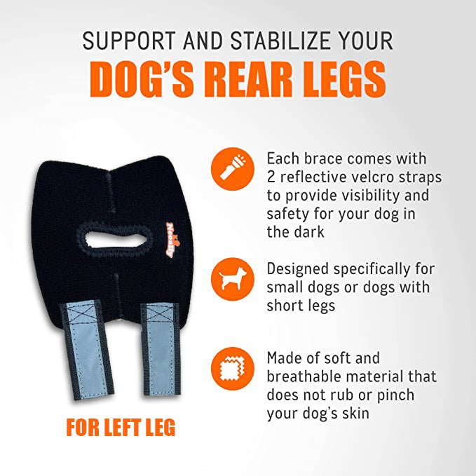 Left-side black dog rear leg hock brace with reflective gray straps