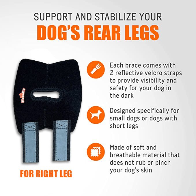 Dog rear leg hock brace for right leg, black wrap with reflective velcro straps