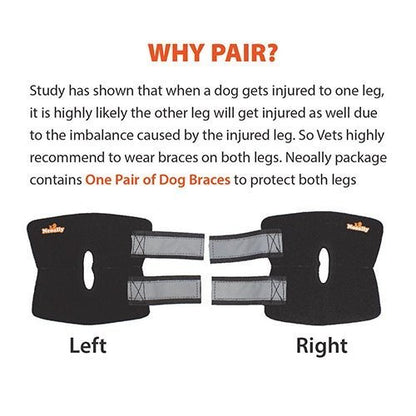 Left and right pair of black dog rear leg hock braces with reflective straps