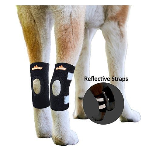Pair of black dog rear leg hock braces with reflective gray straps