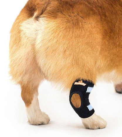 Black dog rear leg hock brace with reflective gray strap, side view