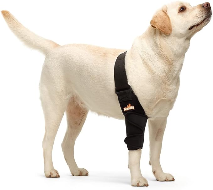 Dog elbow and shoulder brace on front leg, black sleeve-style support with Velcro.