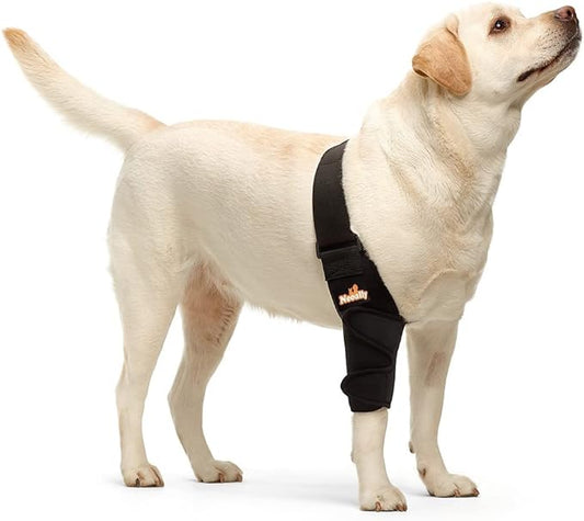 Dog elbow and shoulder brace on front leg, black sleeve-style support with Velcro.