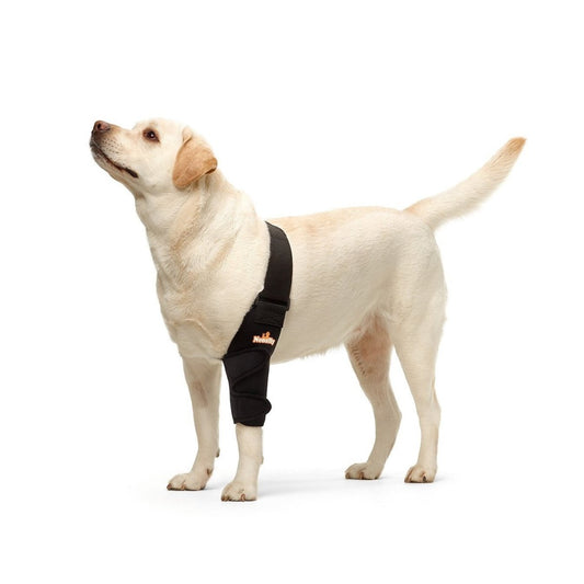 Dog elbow and shoulder brace on front leg, black fabric support with Velcro strap.