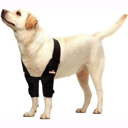 Dog elbow and shoulder braces on two front legs, black supports with fastening straps.