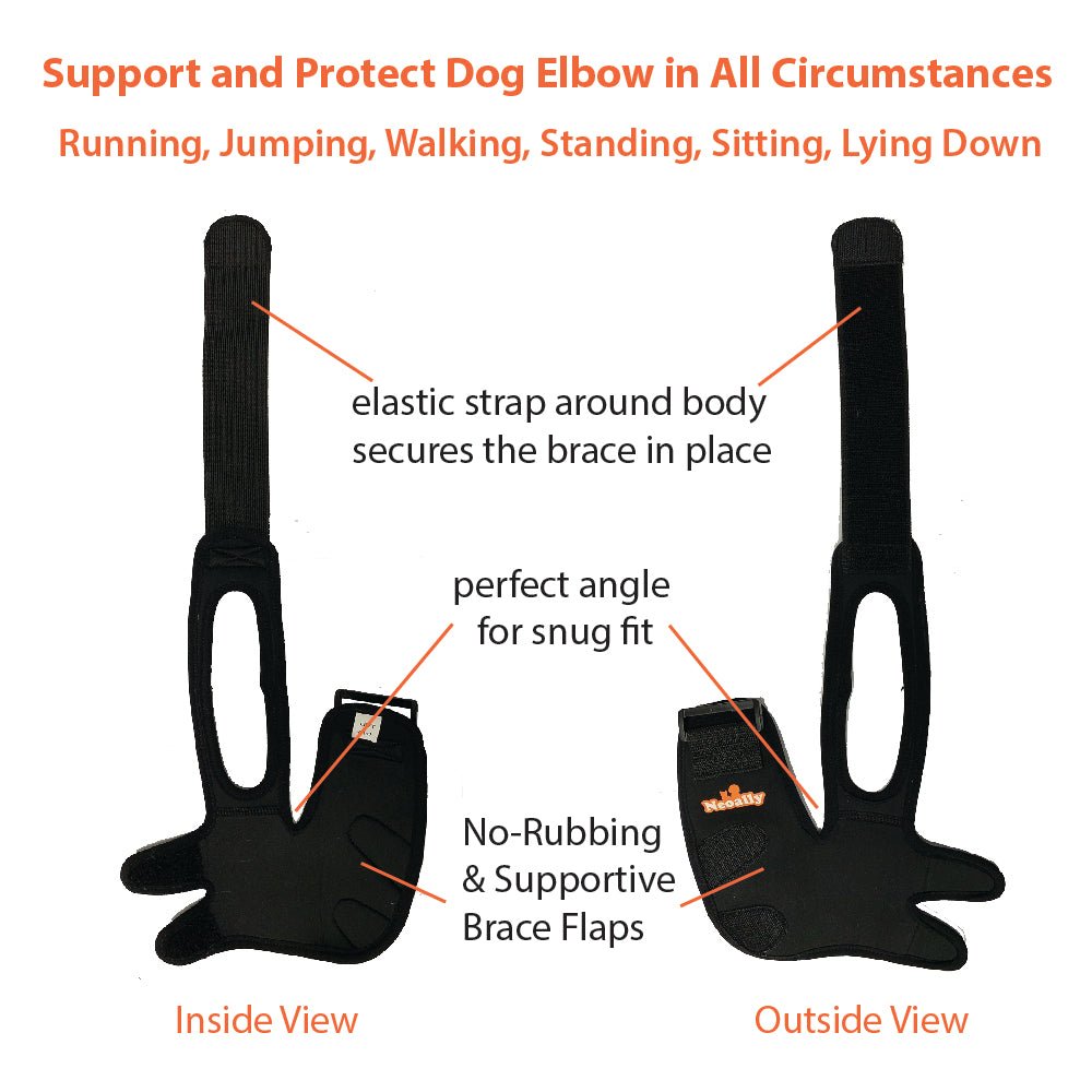 Brace feature diagram for dog elbow support, showing elastic strap and flaps inside/outside.