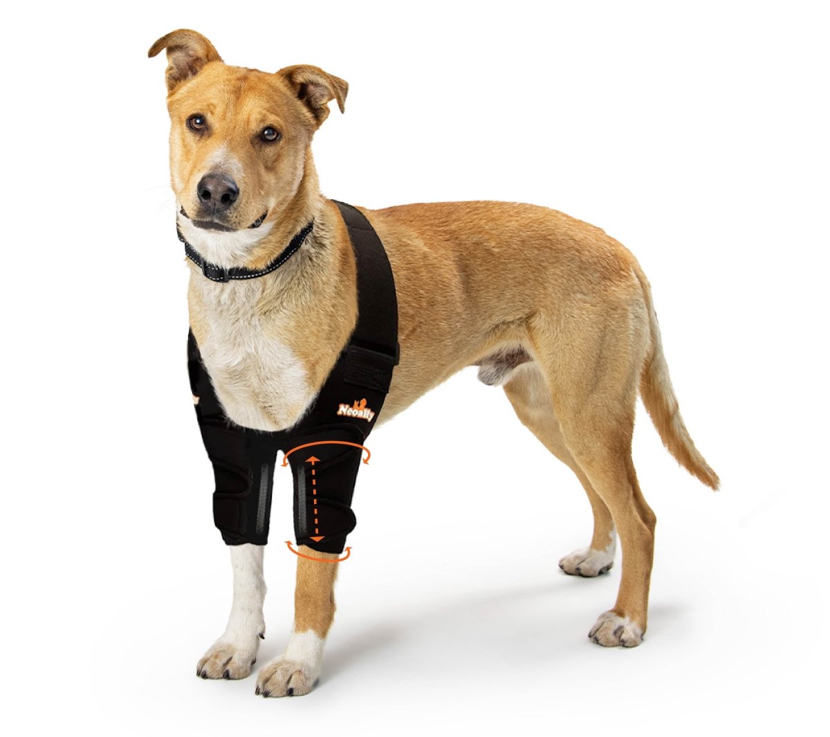 NeoAlly black dog elbow and shoulder brace with two sleeves and spring inserts on both legs