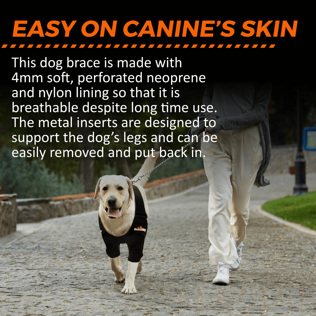 NeoAlly black dog elbow and shoulder brace on front leg while walking