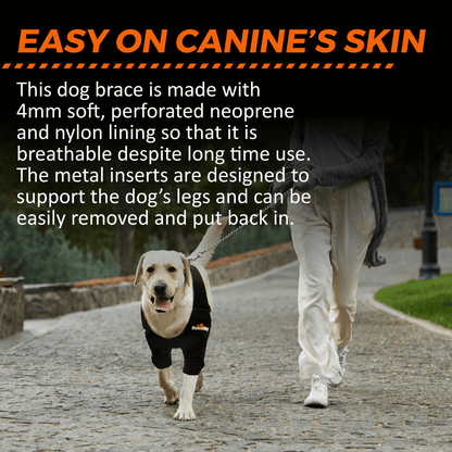 NeoAlly black dog elbow and shoulder brace on front leg while walking