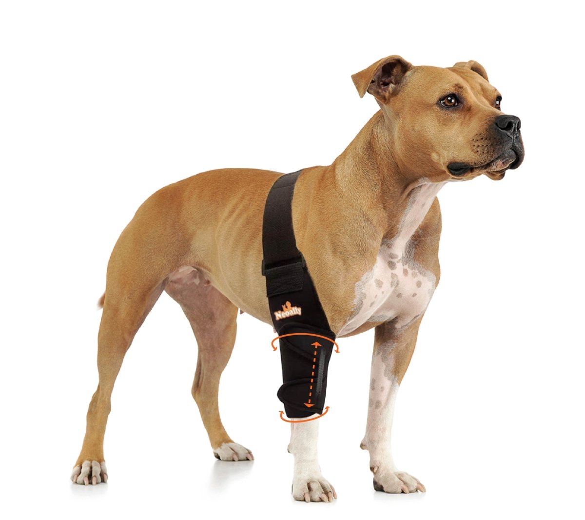 NeoAlly black dog elbow and shoulder brace with spring insert, side view on front leg