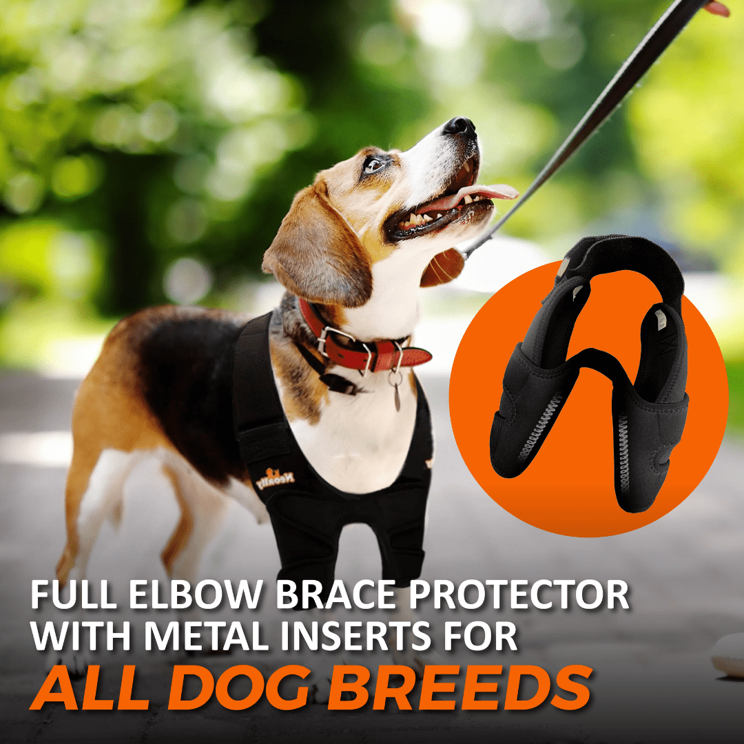 NeoAlly black full elbow brace protector with metal inserts for dogs