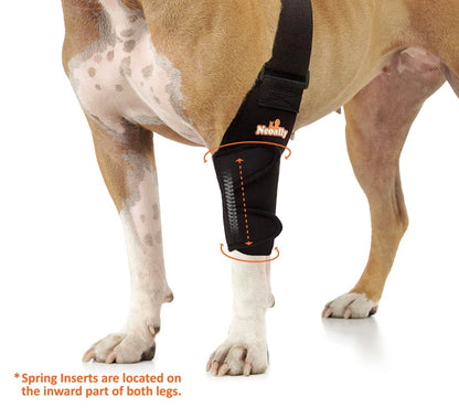 NeoAlly black dog elbow and shoulder brace with spring insert sleeve on front leg, front view