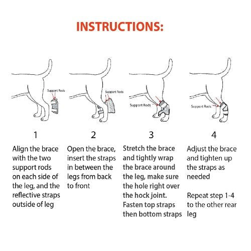 Rear leg hock brace with support rods and straps, shown on a dog for proper fitting