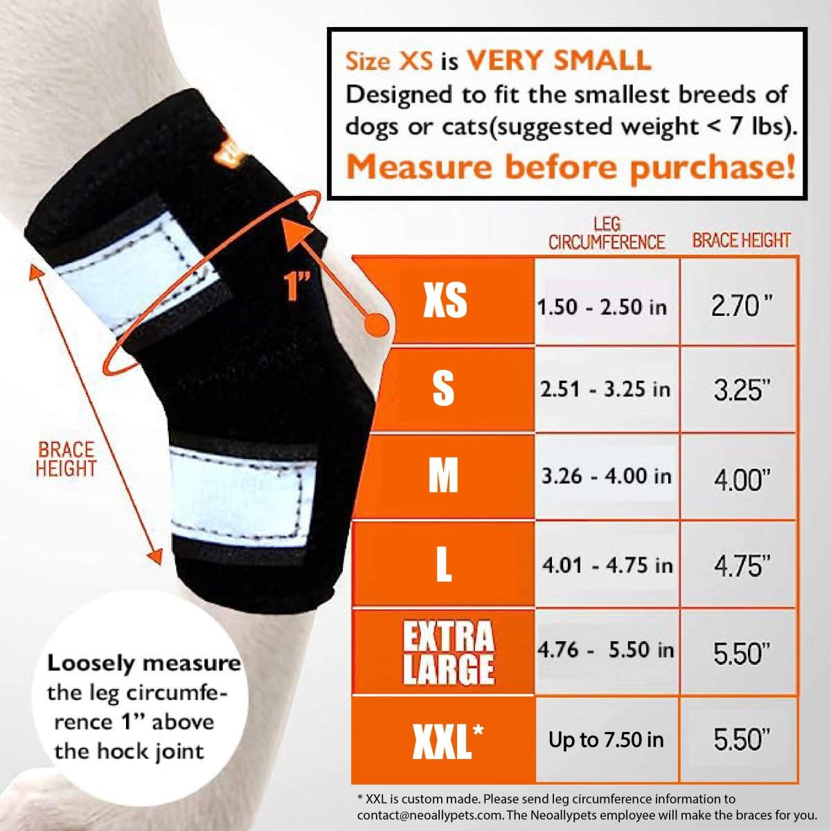 Black hock brace with reflective white straps and adjustable band around the rear leg