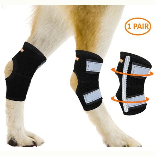 Pair of black rear leg hock braces with reflective white straps and metal spring inserts