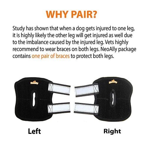 Pair braces labeled left and right, black with white reflective cross straps for dogs