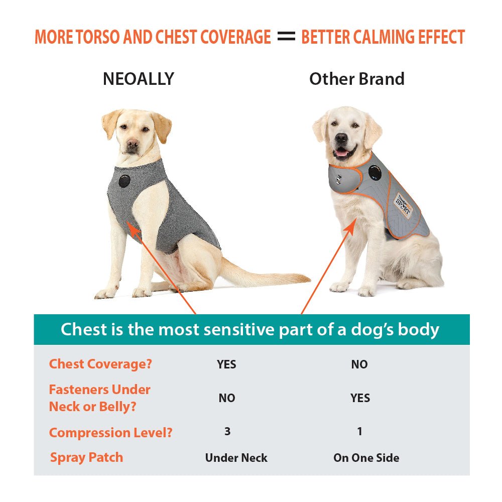 Comparison chart for chest coverage, showing vest fit vs another brand on a sitting dog