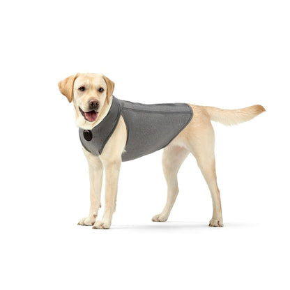 Grey dog recovery vest on a standing yellow lab, side view with chest coverage panel