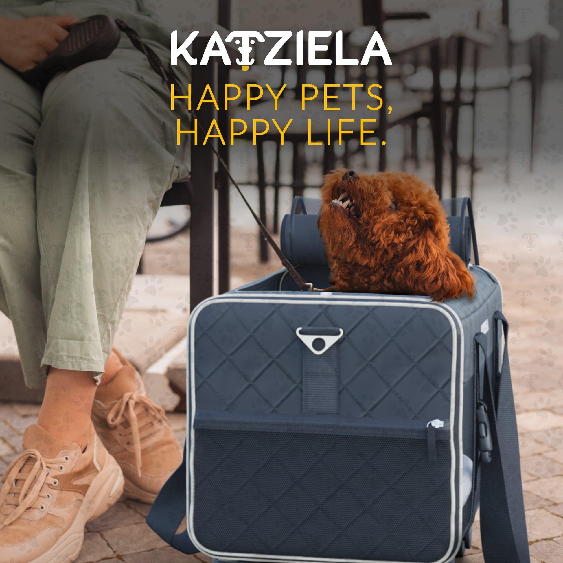 KATZIELA quilted rolling pet carrier in light blue with a dog inside, plush fleece bed.
