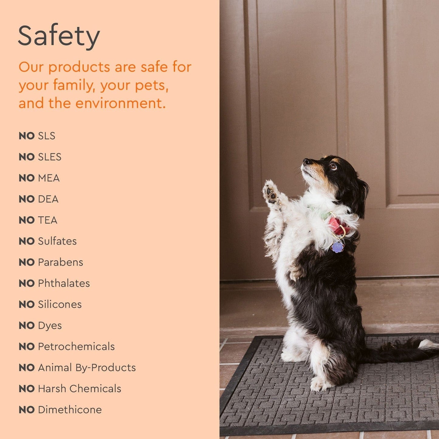 Safety information graphic with a small dog near a doorway and no-safety-claims list