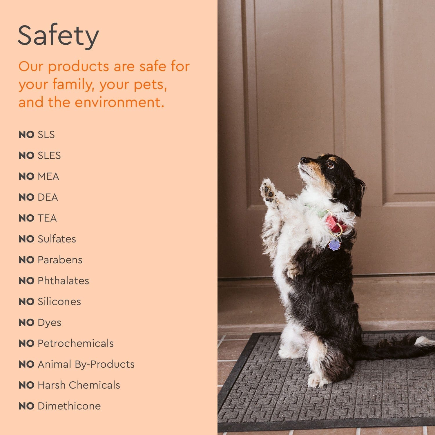 Safety information graphic with a small dog near a doorway and no-safety-claims list