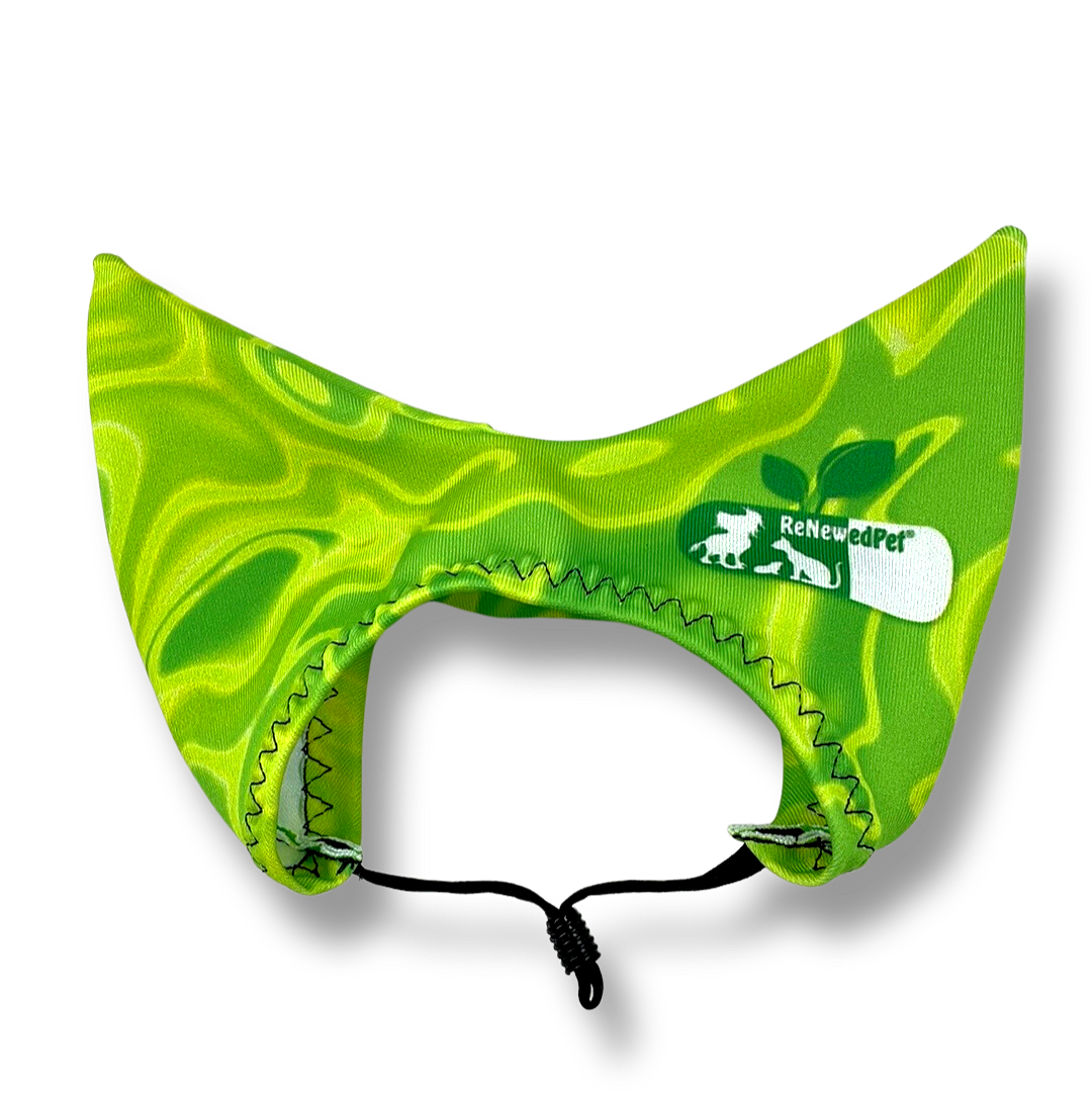 Lime green pet shower ear sun cap with wavy pattern and RenewedPet logo patch