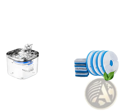 Compact pet water fountain with stainless top and blue replacement filter pad
