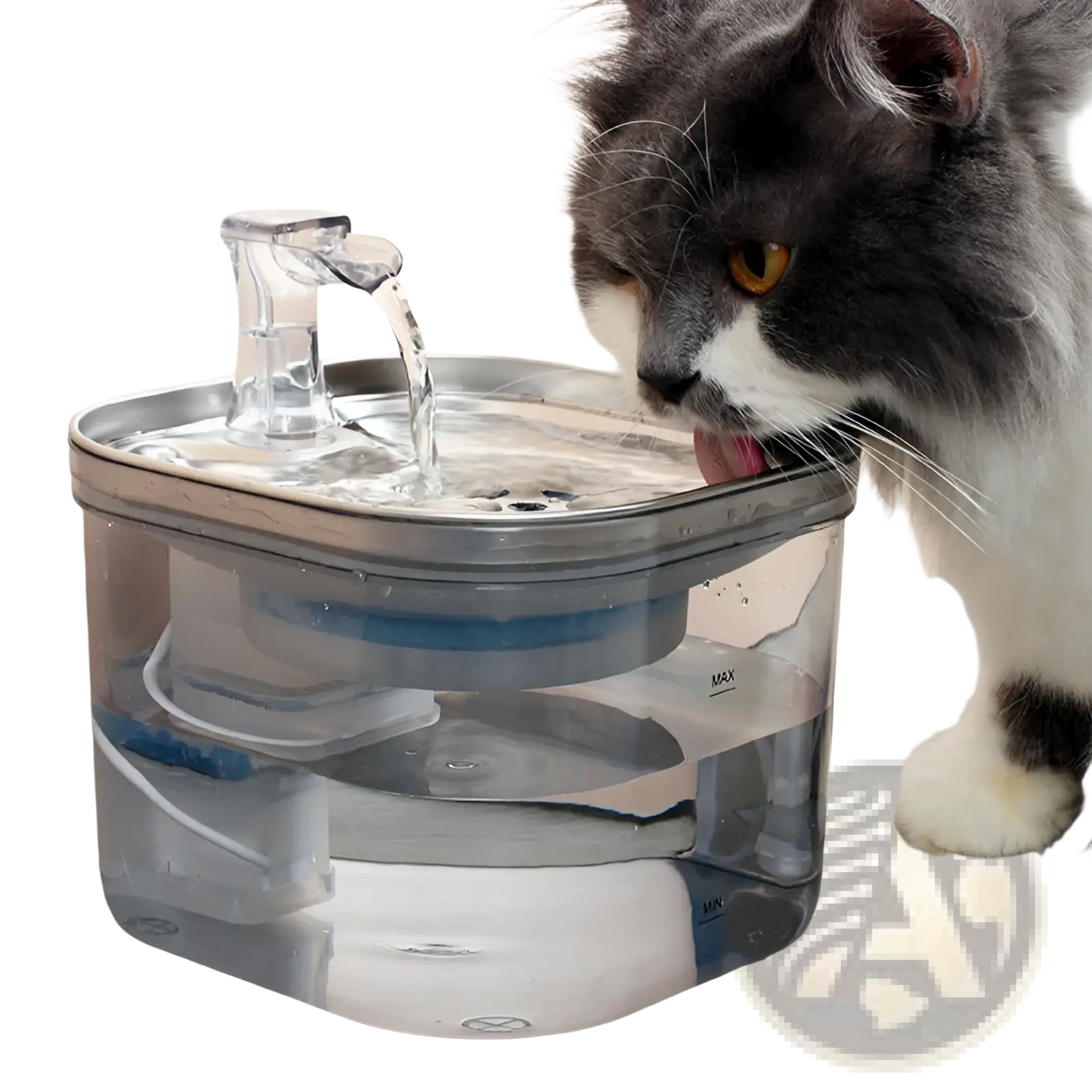 Cat drinking from clear pet water fountain spout with stainless top