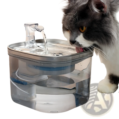 Cat drinking from clear pet water fountain spout with stainless top