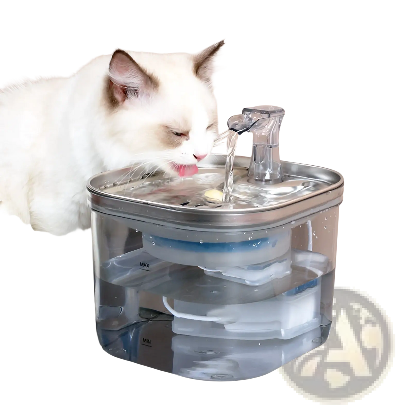 Automatic cat water fountain with stainless steel top and clear spout, cat drinking