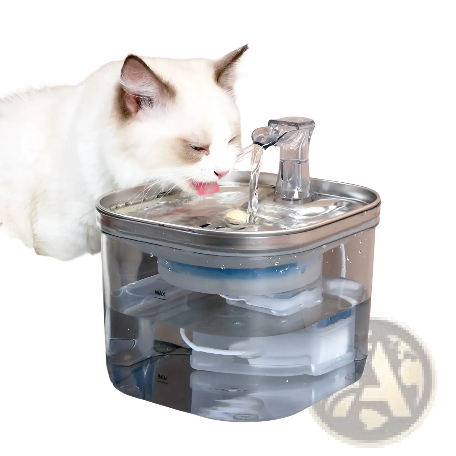 Automatic cat water fountain with stainless steel top and clear spout, cat drinking