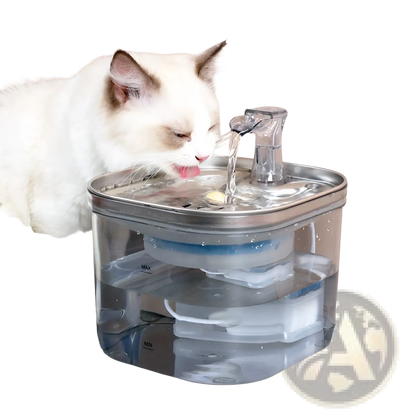 Automatic cat water fountain with stainless steel top and clear spout, cat drinking