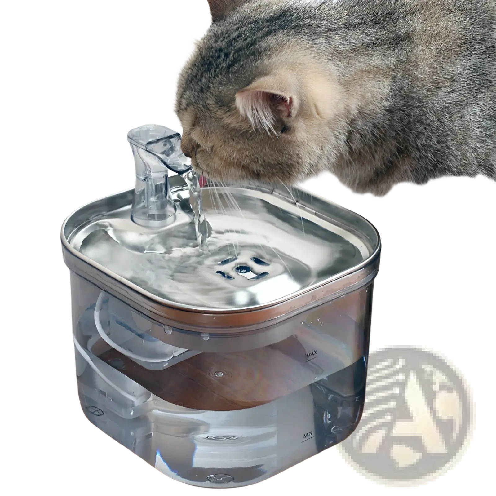 Stainless steel pet water fountain with cat drinking from clear spout