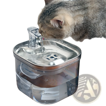 Stainless steel pet water fountain with cat drinking from clear spout